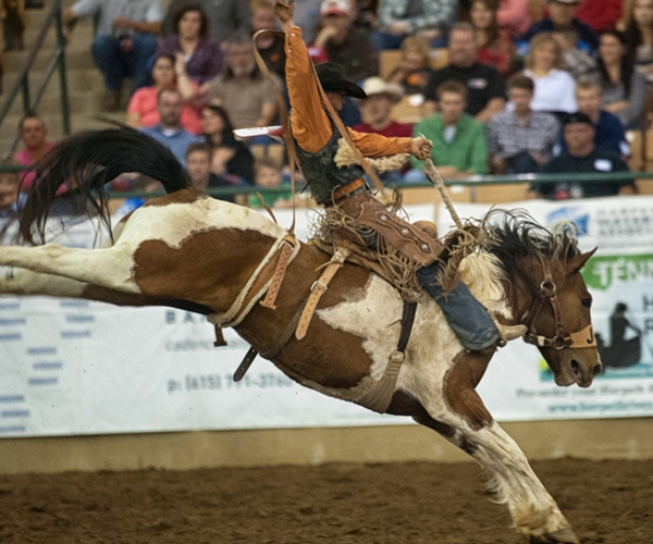 rodeo-events-saddle-bronc-riding