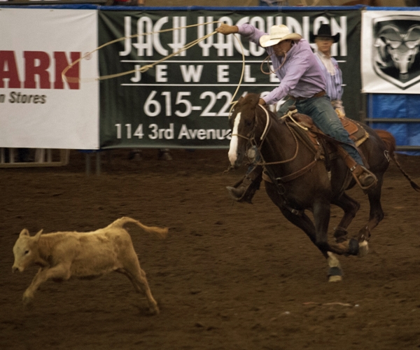 rodeo-events-tie-down-roping