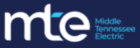 A blue and white logo of the word " te ".